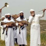 kohanim