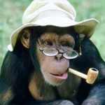 monkee smart