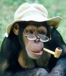 Look at me, I'm smart!
