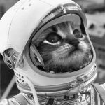 catronaut