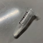 zeolite1