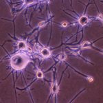 Eternal Life – Psych!